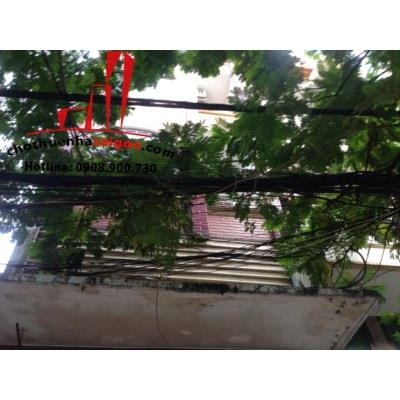 Cho thuê mặt bằng trung tâm quận 3, đường lý chính thắng