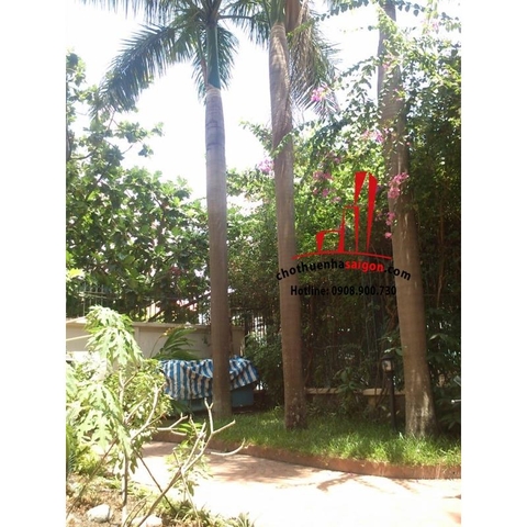 cho thuê biệt thự quận 2, biệt thự khu thảo điền có sân vườn, hồ bơi, giá 4000$