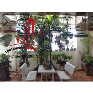 Cho thuê nhà quận Tân Bình, đường Ba Vân, khu Bầu Cát, phường 14, quận Tân Bình, Giá: 30 Triệu