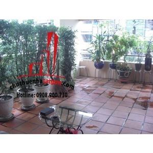 Cho thuê nhà quận Tân Bình, đường Ba Vân, khu Bầu Cát, phường 14, quận Tân Bình, Giá: 30 Triệu