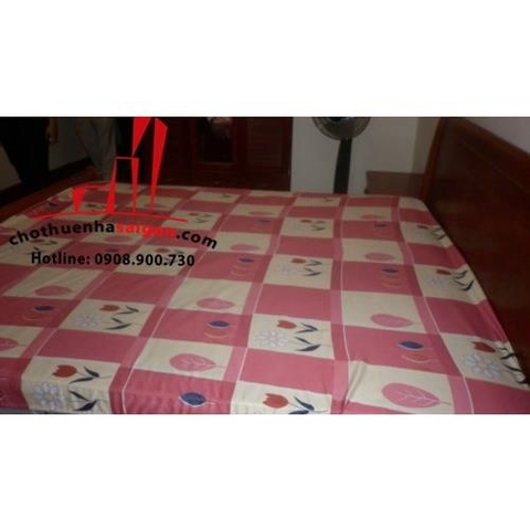 cho thuê nhà nguyên căn hẽm xe hơi đường nguyễn đình chiểu, phường dakao, quận 1