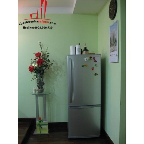 cho thuê căn hộ cao cấp srec đường trương định nối dài quận 3, giá cho thuê:550$/tháng