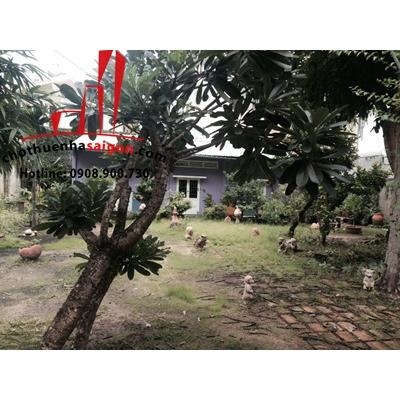 cho thuê biệt thự phường thảo điền quận 2, giá cho thuê:25tr/tháng