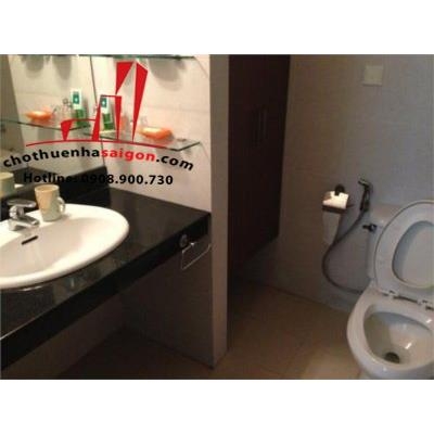 cần cho thuê căn hộ cao cấp đất phương nam, đường chu văn an, quận bình thạnh, giá 550$
