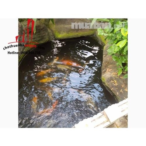 cho thuê biệt thự gần khu biệt thự kim cương quận 2, giá cho thuê:3500$/tháng