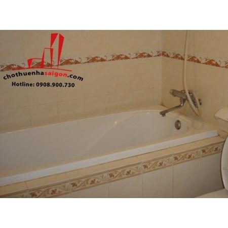 Cho thuê gấp căn hộ cao cấp Phúc Thịnh, 341 Cao Đạt, F1, Q5