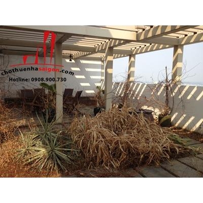 cho thuê căn hộ cao cấp penhouse the vistar , phường an phú, quận 2, giá cho thuê:6000$/tháng