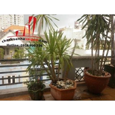 cho thuê nhà nguyên căn góc 2 mặt tiền đường đoàn thị điểm, quận phú nhuận
