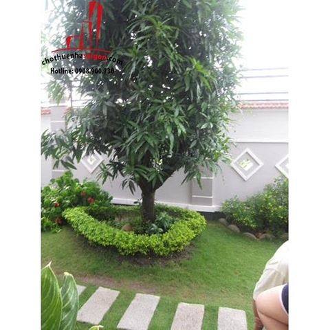 cho thuê biệt thự khu biệt thự kim sơn đường nguyễn văn hưởng, giá cho thuê:5000$/tháng, bao vat