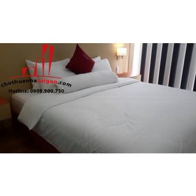 cho thuê nhà đẹp trung tâm quận 3 , đường trường sa, giá cho thuê:1000$/tháng