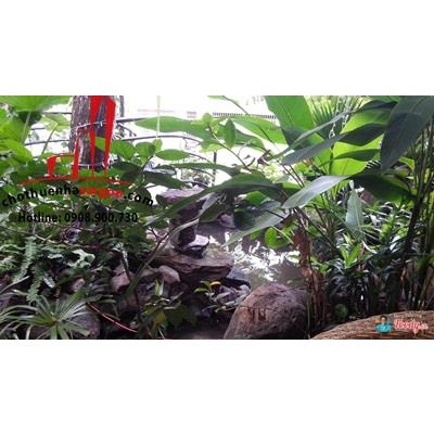 cần cho thuê biệt thự nguyên căn mặt tiền đường nguyễn văn thủ, quận 1, giá cho thuê:5500$/tháng