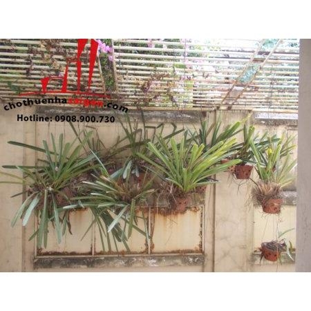 cho thuê hoặc bán biệt thự mặt tiền đường bà huyện thanh quan, quận 3