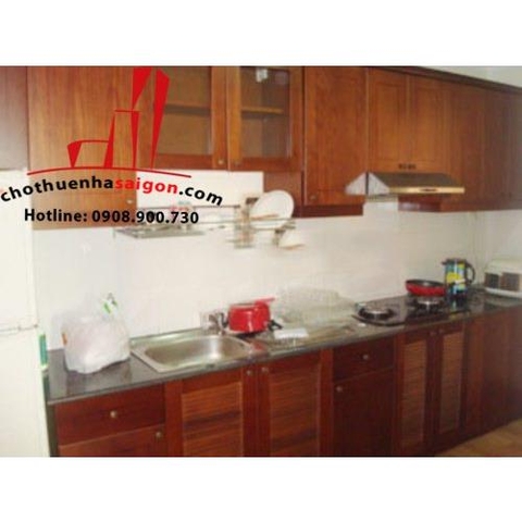 cho thuê căn hộ phúc thịnh  quận 5, đường tản đà giá 600$