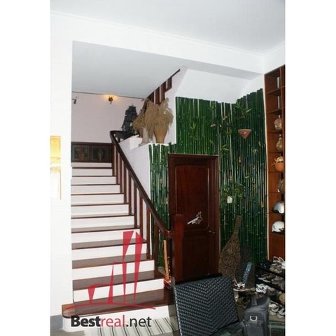 Cho thuê villa Bình Lợi, phường 13, Quận Bình Thạnh.