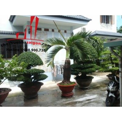 Cho thuê biệt thự mini đường Ung Văn Khiêm, P.25, Bình Thạnh.giá cho thuê:15tr/tháng