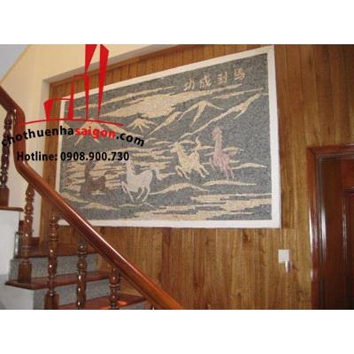 cho thuê nhà nguyên căn đường núi thành, p13, quận tân bình, giá cho thuê:15tr/tháng