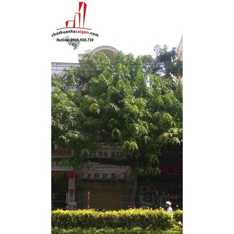 cho thuê nhà nguyên mặt tiền đường cộng hòa quận tân bình, giá cho thuê:40tr/tháng