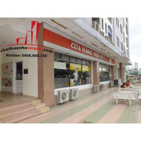 Cho thuê căn hộ penhouse chung cư tại Đường Phạm Văn Đồng - Quận Bình Thạnh - Tp.HCM