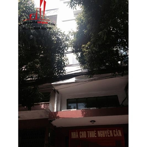 cần cho thuê nhà quận tân bình, nhà mặt tiền đường xuân hồng gía cho thuê: thương lượng