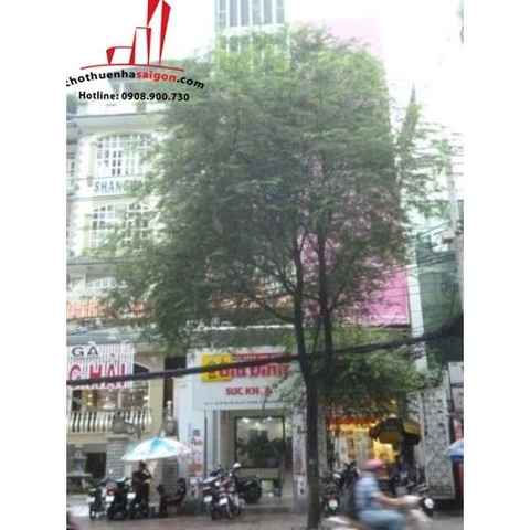 cho thuê nhà nguyên căn mặt tiền đường võ văn tần, quận 3, gía 2500$/tháng