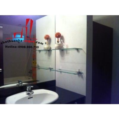 cần cho thuê căn hộ cao cấp đất phương nam, đường chu văn an, quận bình thạnh, giá 550$