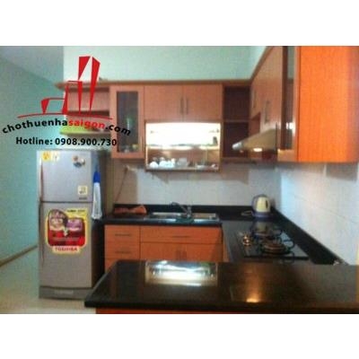 cần cho thuê căn hộ cao cấp đất phương nam, đường chu văn an, quận bình thạnh, giá 550$