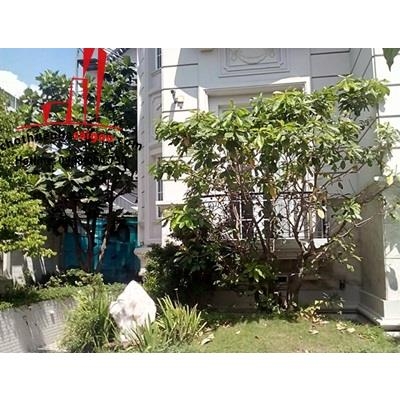 cần bán hoặc cho thuê biệt thự đường đặng hữu phổ, phường thảo điền, quận 2, giá cho thuê:9000$/tháng