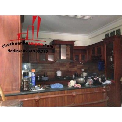 cho thuê biệt thự quận 3, đường ngô thời nhiệm giá 7000$/tháng