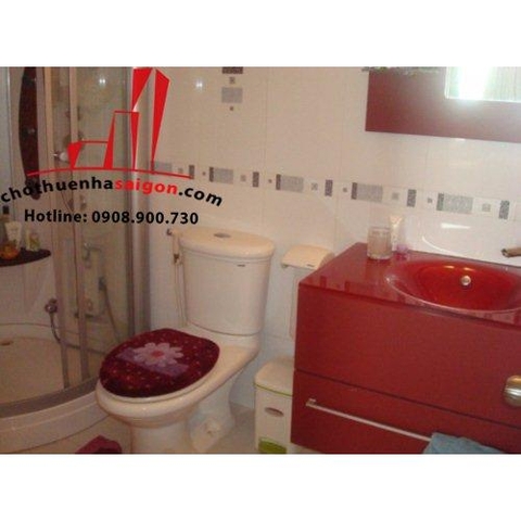 cho thuê căn hộ phúc thịnh  quận 5, đường tản đà giá 750$