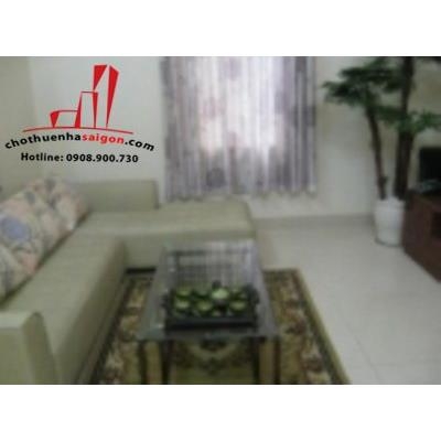 cho thuê biệt thự mini đường ung văn khiêm , quận bình thạnh giá cho thuê:17tr/tháng