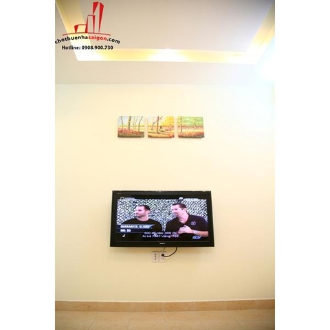 cho thuê căn hộ quận 1, đường lý văn phức, phường tân định giá cho thuê:500$/tháng