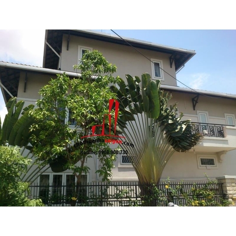 Cho thuê biệt thự Quận 2, đường Nguyễn Văn Hưởng, Thảo Điền, giá 3000$