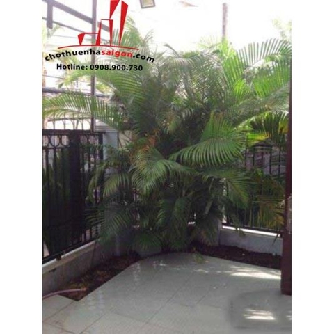 cần cho thuê biệt thự phố đường trúc đường. phường thảo điền quận 2, gía 1300$/tháng