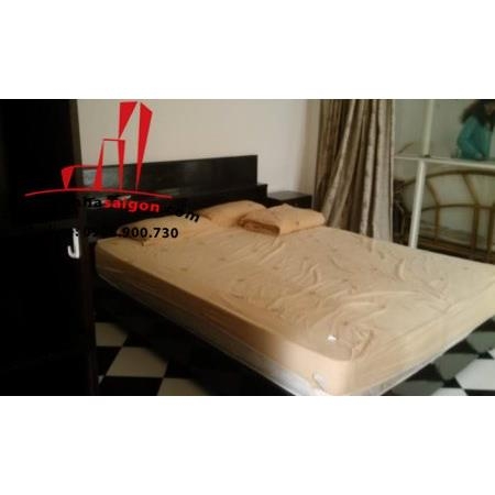 cho thuê căn hộ Serviced apartment quận 1, đường thái văn lung, giá 600$/tháng