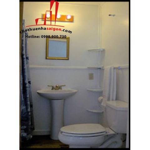 cho thuê căn penhouse hưng vượng 1, quận 7 giá 500$