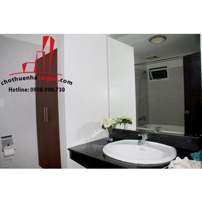 cần cho thuê căn hộ cao cấp đất phương nam, đường chu văn an, quận bình thạnh, giá 650$