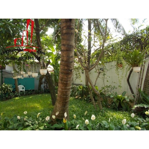 Cho thuê Villa Quận 2, khu Thảo Điền, giá 3000$