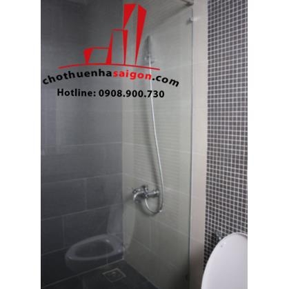 cho thuê căn hộ Serviced apartment quận 5, đường trần bình trọng giá 350- 400$/tháng