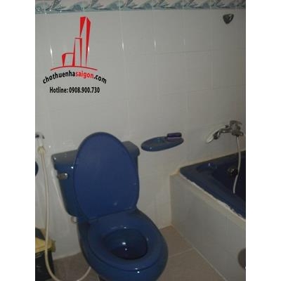 Cho thuê nhà quận Tân Bình, đường Nguyễn Đình Khơi, khu khách sạn Đệ Nhất, quận Tân Bình, Giá: 30 Triệu