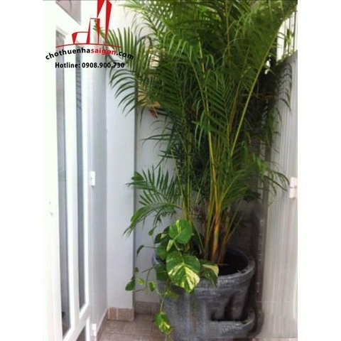 cho thuê nhà nguyên căn đương nơ trang long quận bình thạnh giá cho thuê:17tr/tháng