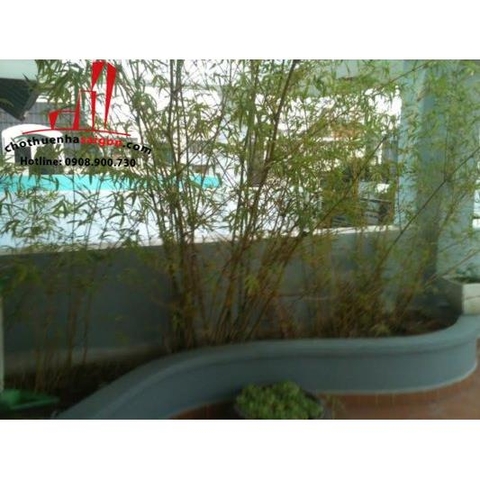 cần cho thuê nhà quận 2,khu đô thị an phú an khánh giá cho thuê:18.000.000đ/tháng