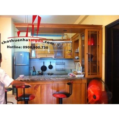 cho thuê căn hộ  nguyễn ngọc phương, phường 19, quận bình thạnh, giá cho thuê 500$/tháng