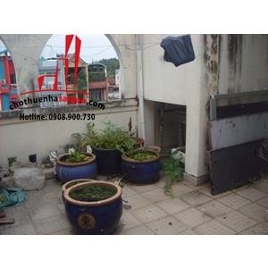 Cho thuê Villa quận Tân Bình, đường nội bộ khu sân bay, quận Tân Bình, Giá: 30 Triệu