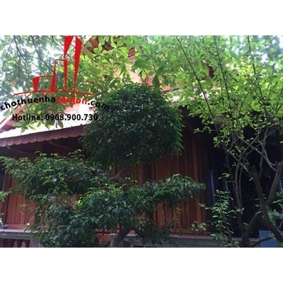cho thuê villa mini phường thảo điền , quận 2, gía cho thuê:30/tháng