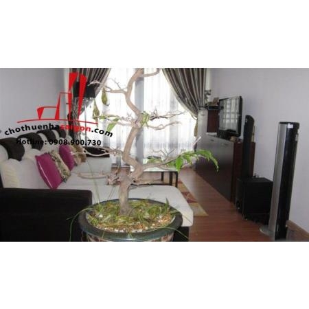 cho thuê căn hộ cao cấp orien, đường bến văn đồn, quận 4