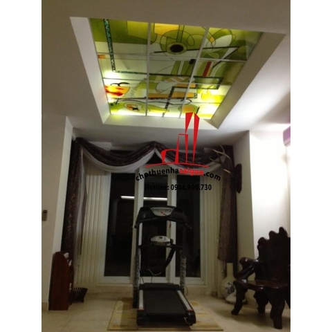Cho thuê Villa quận Bình Thạnh - hẻm xe hơi đường D2. Giá 3000 usd/tháng
