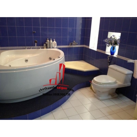 Cho thuê Villa quận Bình Thạnh - hẻm xe hơi đường D2. Giá 3000 usd/tháng
