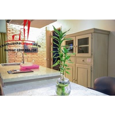 cho thuê căn hộ Serviced Apartmen quận phú nhuận,đường nguyễn văn trỗi,giá 780$/tháng