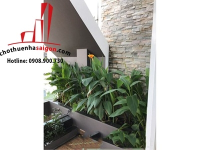 cần cho thuê villa phố khu đường trần quang diệu quận 3, giá cho thuê:50tr/tháng