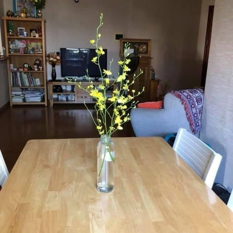 cho thuê căn hộ chung cư an hòa quận 2, giá 13,5tr/tháng